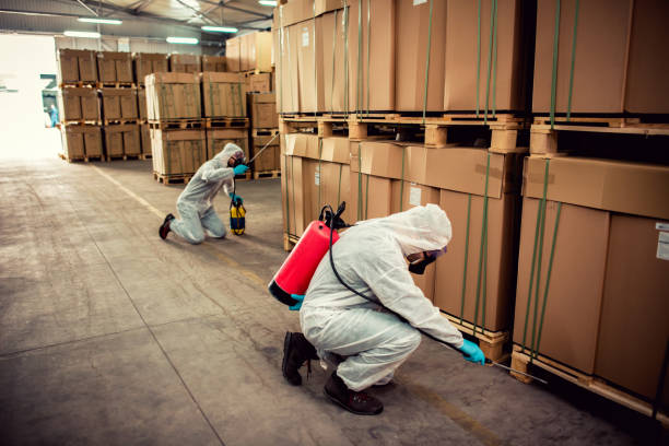 Professional Pest Control in Lake Mary, FL