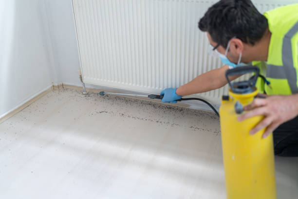 Best Bed Bug Extermination  in Lake Mary, FL